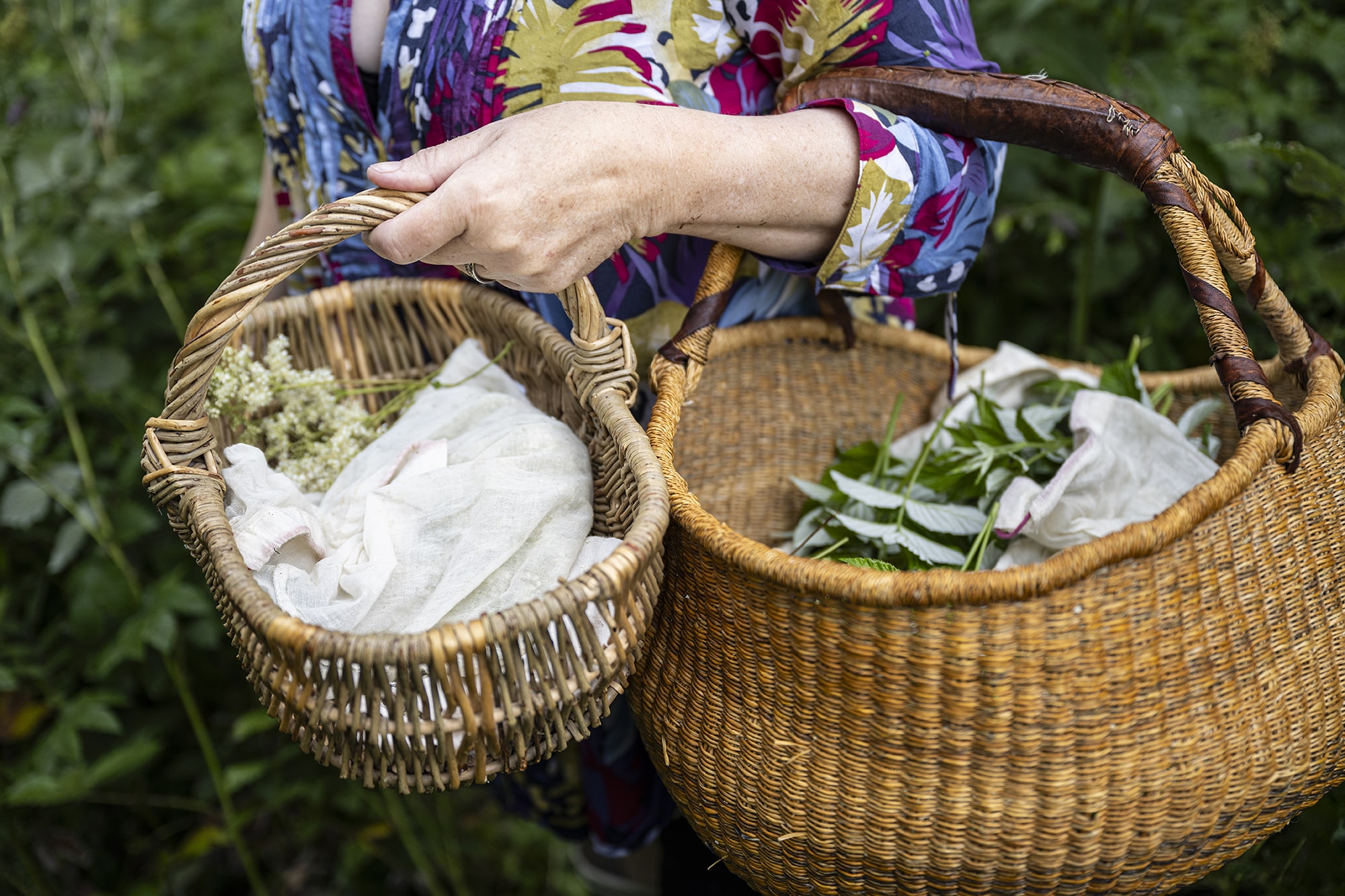 panier plantes et herbes aromatiques